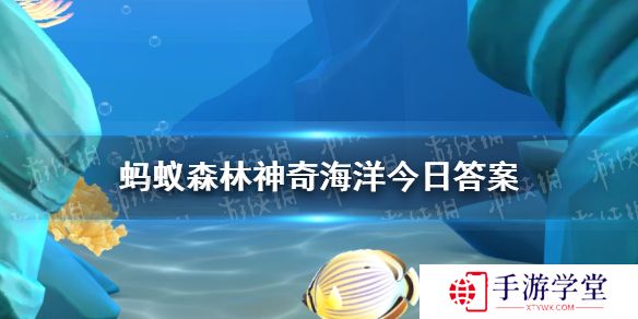 猜一猜花园鳗之所以得名是因为酷似  神奇海洋12月19日答案